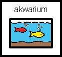akwarium